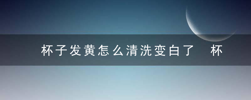 杯子发黄怎么清洗变白了 杯子发黄如何清洁